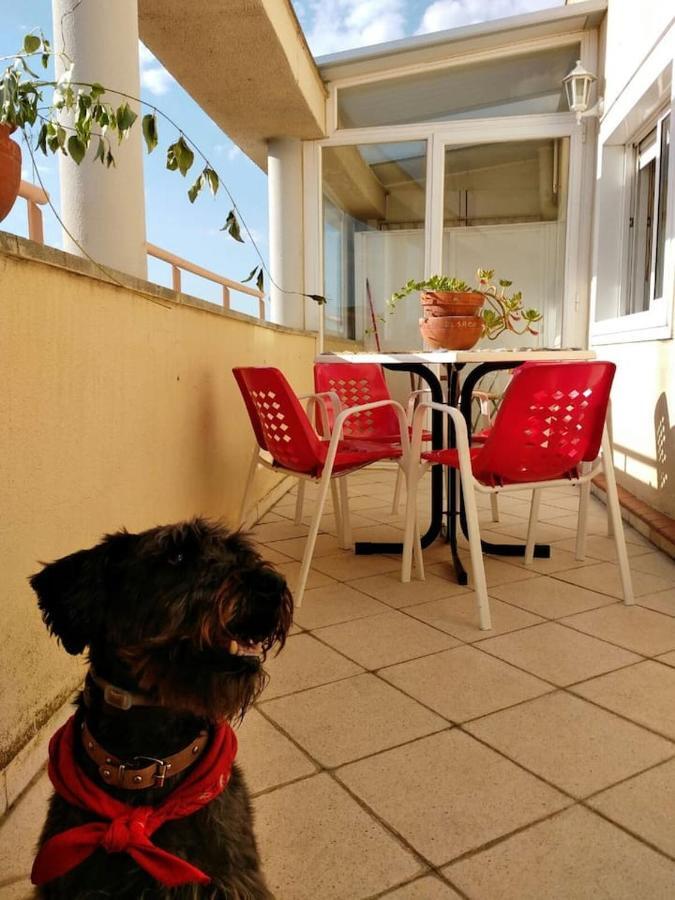 Ferienwohnung El Trastero Santa Marta de Tormes Exterior foto